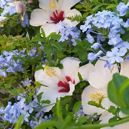 Lecce Al Mare Hébergement de vacances